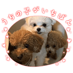 yuka_20260111005600
