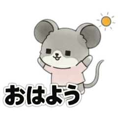 Nicosuki_20260111095548