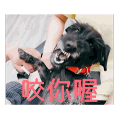 我家樂樂超可愛