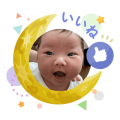 gyokuro_20260111110610