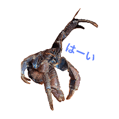 KONOHAants_20260109192735