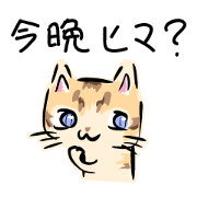 invite-cat