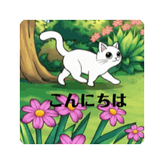 #猫ちゃんジャンプ