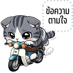 เปลี่ยนข้อความตามใจ: บูบู้ แมวกวน