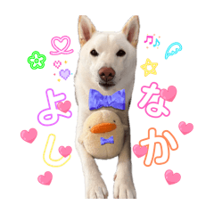 akane_20260111151145