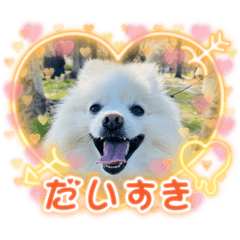 Risa_20260111171312