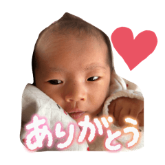 Shiho_20260111185407