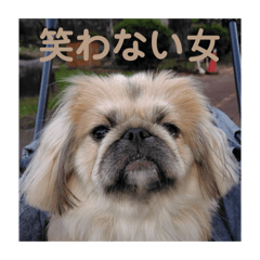kayou_20260111185811