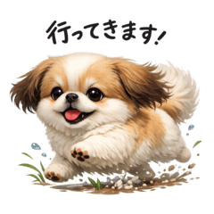 Pekingese Daily Stickers 1