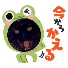 sumomo_20260111193649