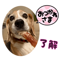 rumiko_20260111193552