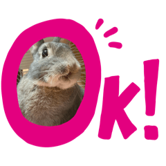 rirarira_20260111193816