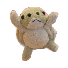 Appin_20260111194354