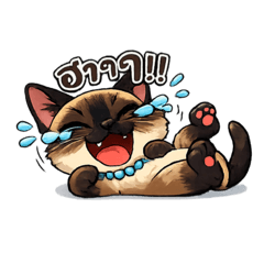 Siriwan_20260111131217