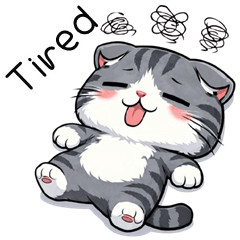 BooBoo Goofy Cat (ENG)