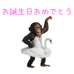 PAKAMOGOLY_20260112074414