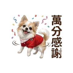 大爺可可#閒聊、感謝