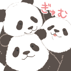 ZOOm in Animalsジャイアントパンダ