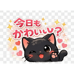 hachi_20260109181403