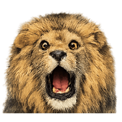 wendy_20260109180900