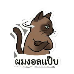 Wara.Brown_20260111144325