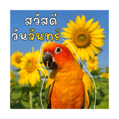 laksika_20260111152735