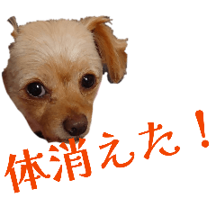 kana_20260111192759