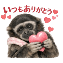 AMIty_20260109233100