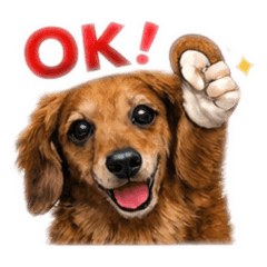 ponmama_20260111170003