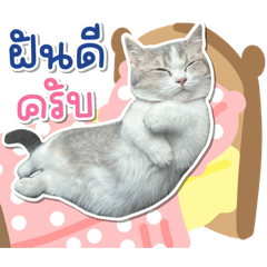 คุณชายกังฟู