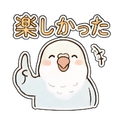 KIKORO_20260109200453