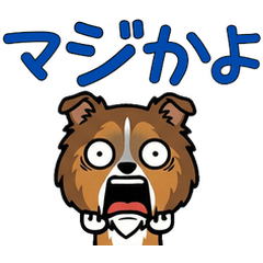 動くラフコリー4