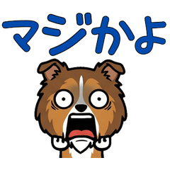 オーバーなラフコリー3