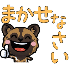 Polite African Wild Dog 5th