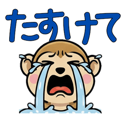 Overreaction Squirrel Monkey 3rd