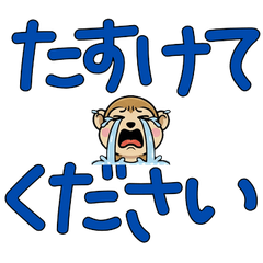 Polite Squirrel Monkey 5th