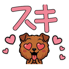 Overreaction Lakeland Terrier 3rd