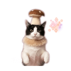 yasuyon_20260109210559