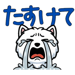 Overreaction Lowchen 3rd Text