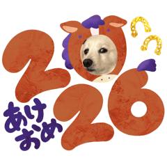 kaminari_20260111201832