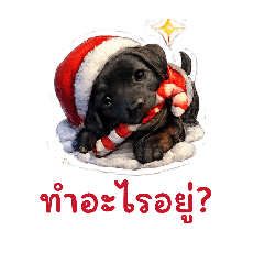 Nalin_20260111192032