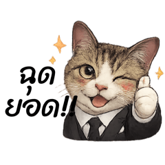 Tachsinee.n_20260111185148