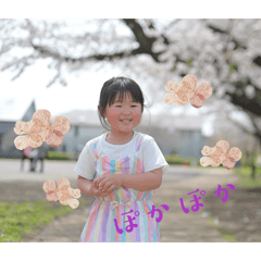 Sayapanda_20260111221516