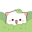 고양이