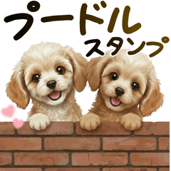 トイプードルの日常使い♡スタンプ