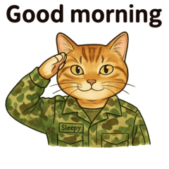 Military CATS -Mission Ready-