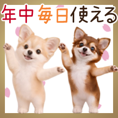 It can be used all year round