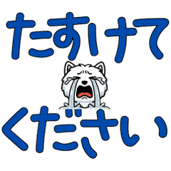 Anim. Polite Lowchen 6th