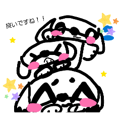 akaringo_20260109222629