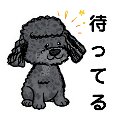 aoi0315_20260109232405